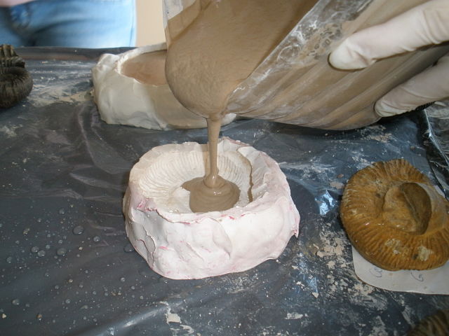 Rellenando molde de ammonite con escayola