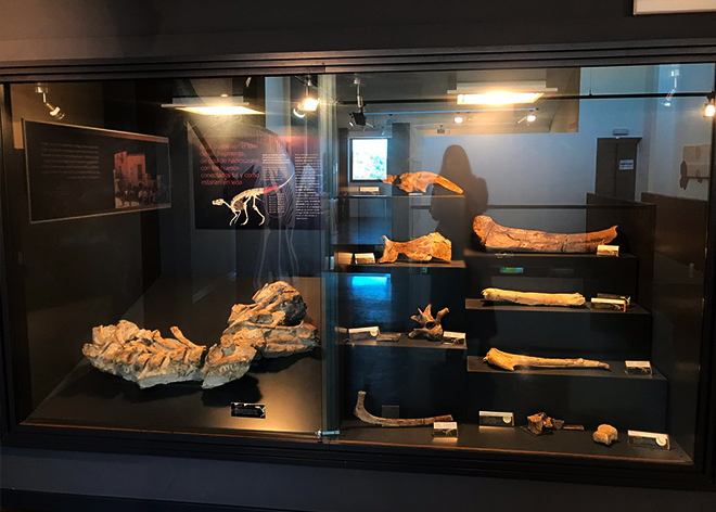 vitrina con restos de dinosaurio en en museo de los dinosaurios de Arén